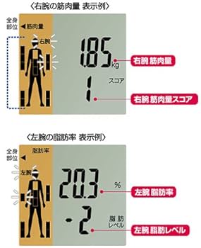 TANITA体組成計 インナースキャン50V 楽天市場】tanita 体組成計 インナースキャン50v bc－622－bkの通販